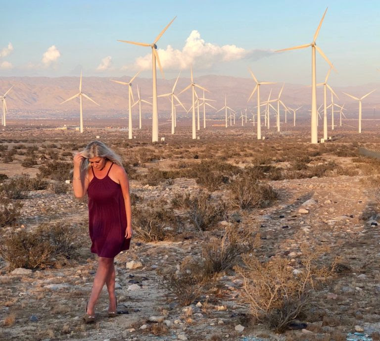 Shannon Lazovski Palm Springs Windmills
